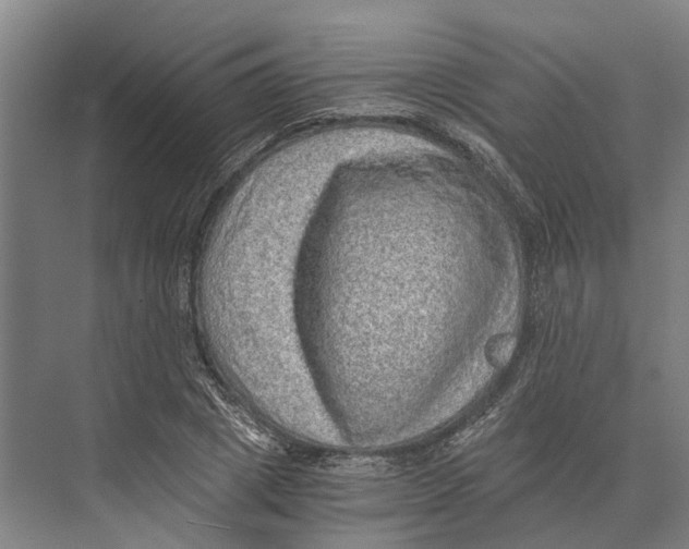 X0000074000833200609181806