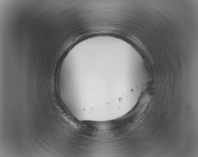 X0000074000834200609181806