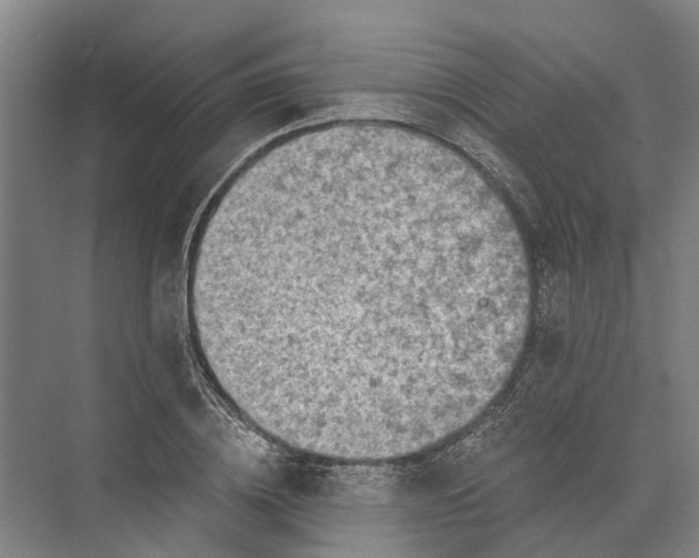 X0000074000836200609181806