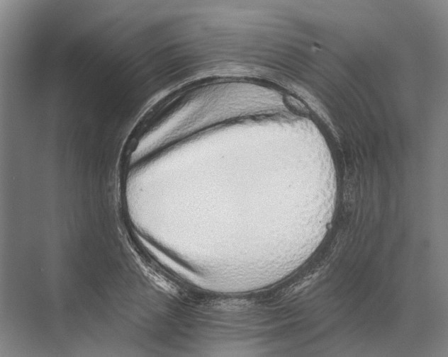 X0000074000837200609181806