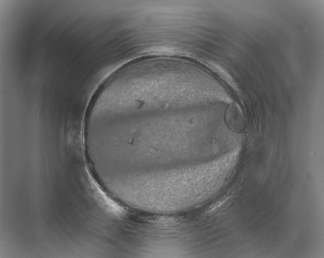 X0000074000839200609181806