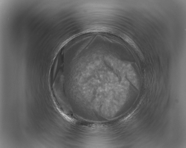 X0000074000842200609181806