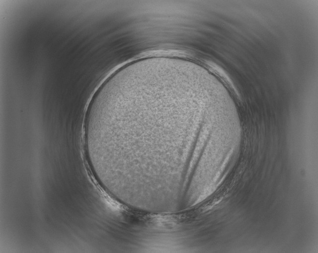 X0000074000852200609181806