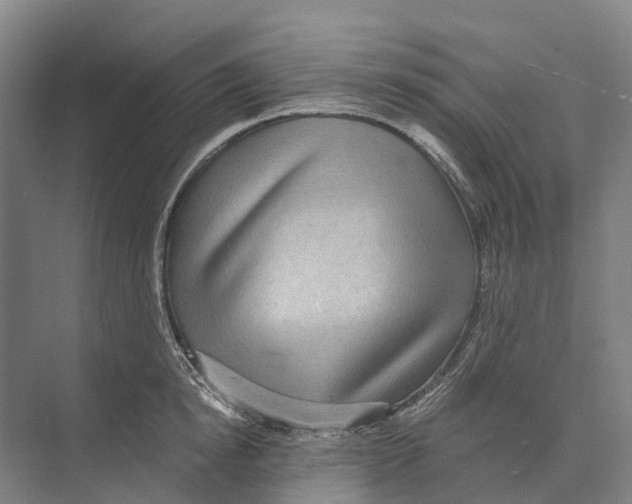 X0000074000854200609181806