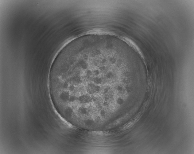 X0000074000855200609181806