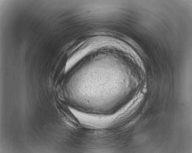 X0000074000857200609181806