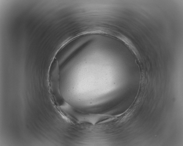 X0000074000858200609181806