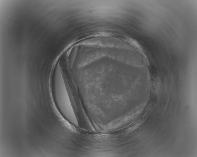 X0000074000859200609181806