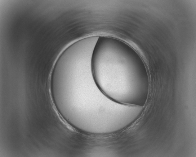 X0000074000862200609181806