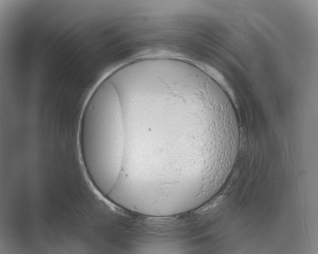 X0000074000863200609181806