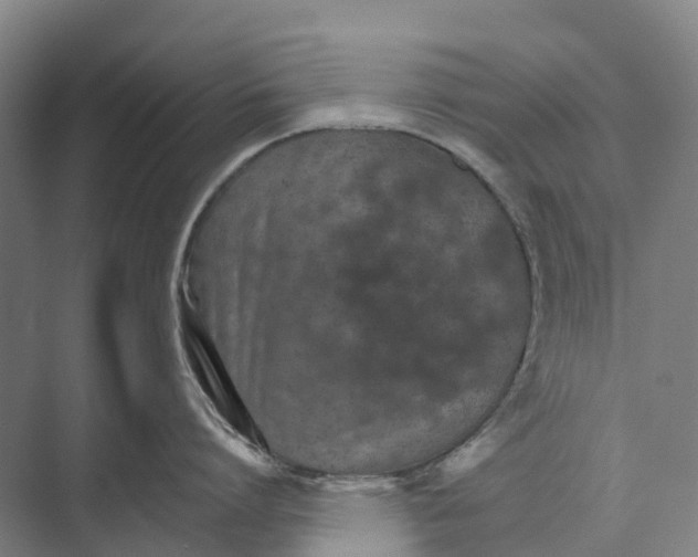 X0000074000864200609181806