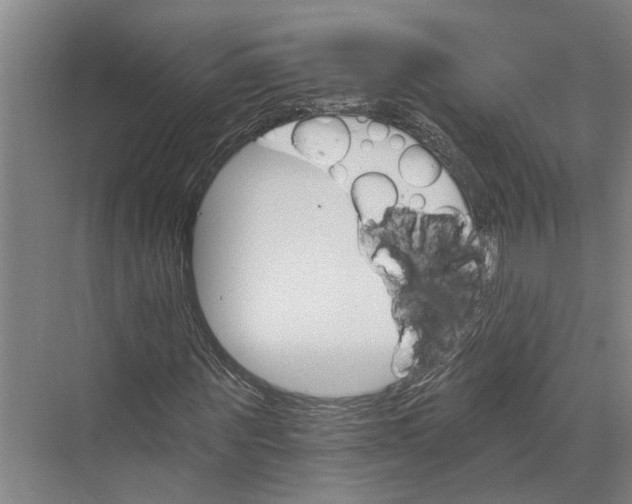 X0000074000867200609181806