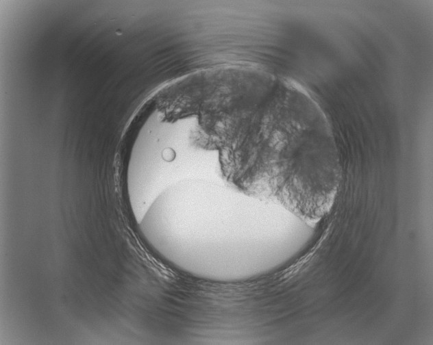 X0000074000875200609181805