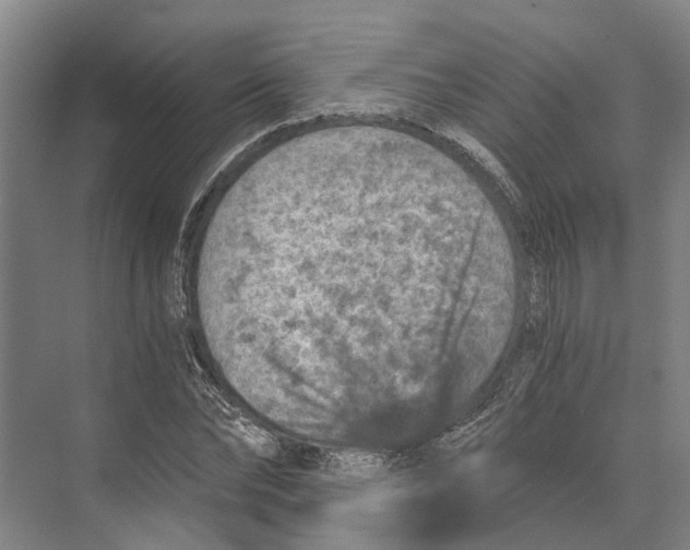 X0000074000878200609181805