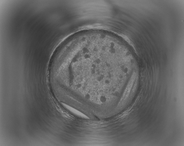 X0000074000879200609181805