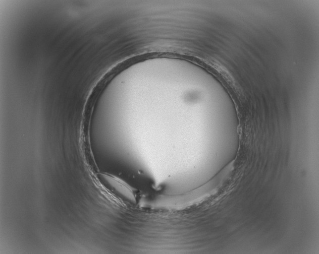 X0000074000880200609181805