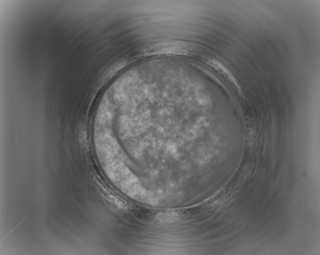 X0000074000882200609181805