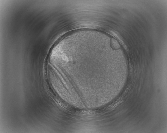 X0000074000883200609181805