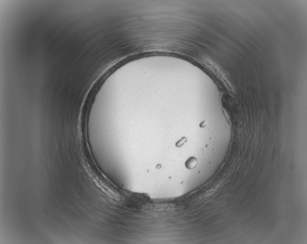 X0000074000884200609181805