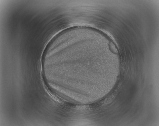 X0000074000887200609181805