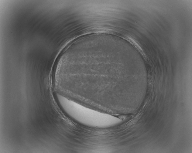 X0000074000891200609181805