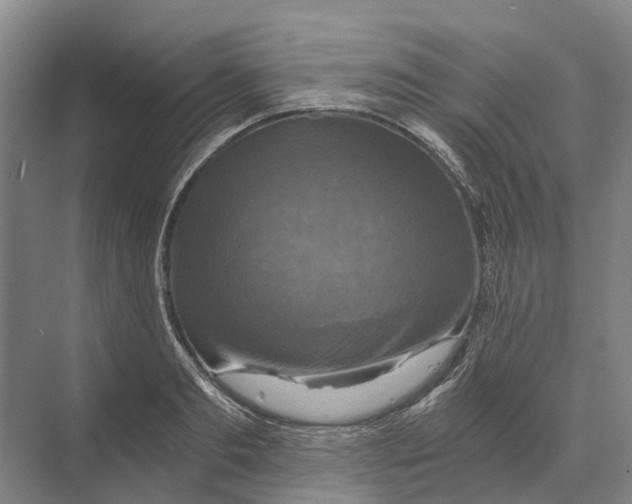 X0000074000893200609181805