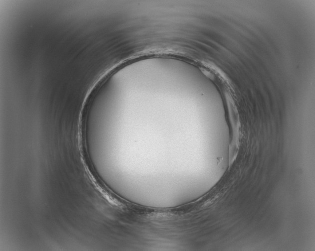 X0000074000894200609181805