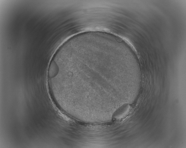 X0000074000895200609181805