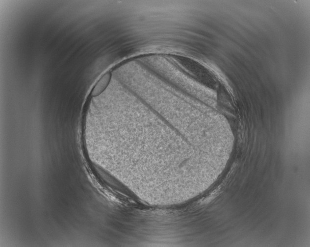 X0000074000896200609181805