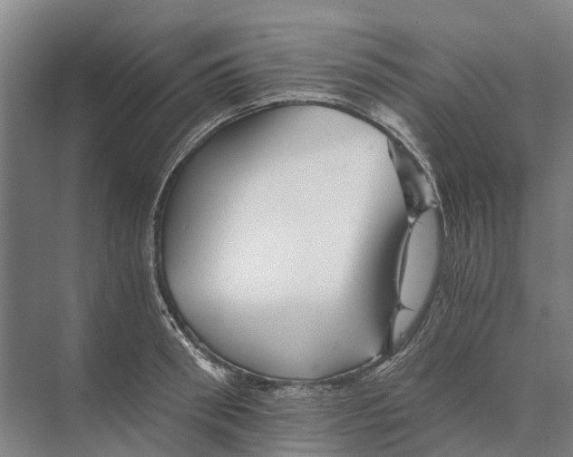 X0000074000898200609181805