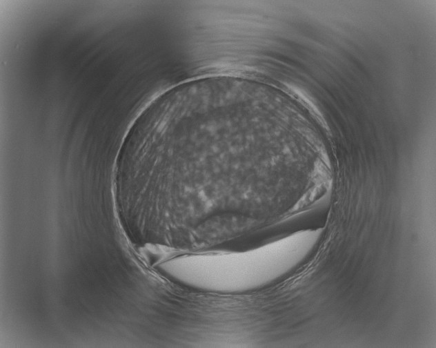 X0000074000899200609181805