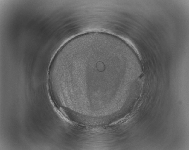 X0000074000903200609181805