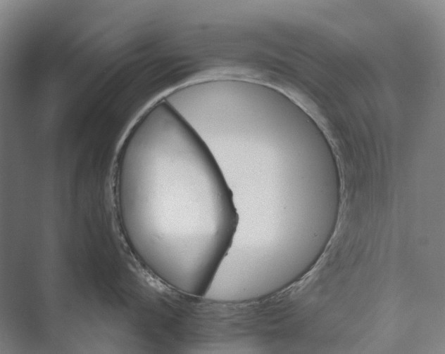 X0000074000912200609181805