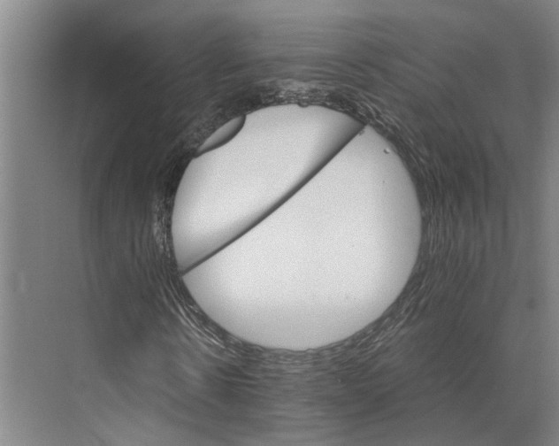 X0000074000914200609181804