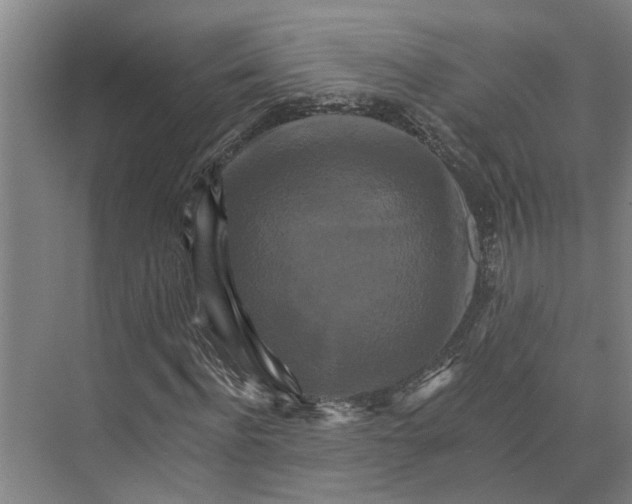 X0000074000916200609181804