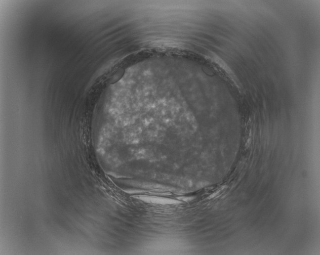 X0000074000919200609181804