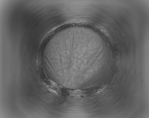 X0000074000920200609181804