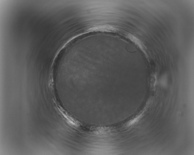 X0000074000923200609181804