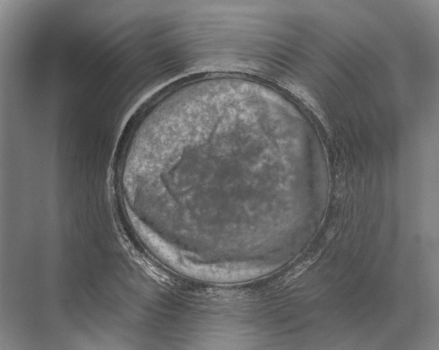 X0000074000928200609181804