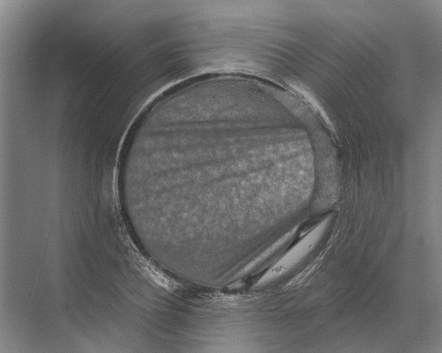 X0000074000932200609181804