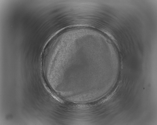 X0000074000933200609181804