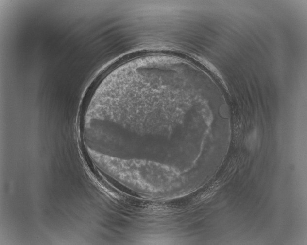 X0000074000935200609181804