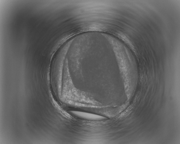 X0000074000938200609181804