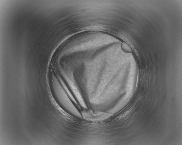 X0000074000939200609181804