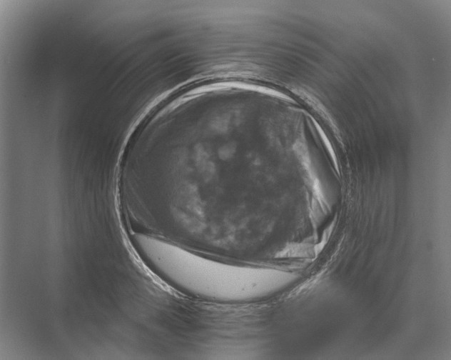 X0000074000941200609181804