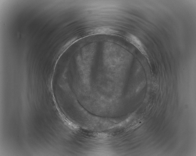 X0000074000946200609181805