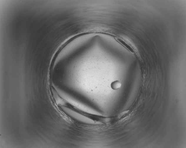 X0000074000948200609181805