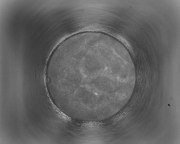 X0000074000950200609181805