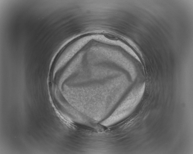 X0000074000951200609181805