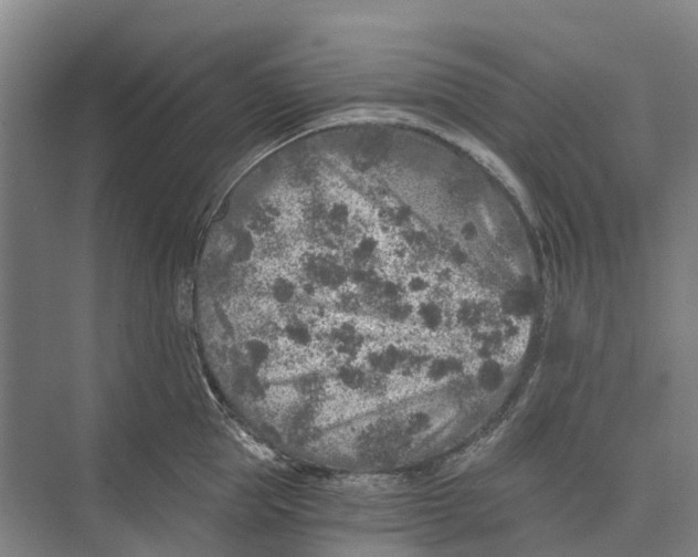 X0000074000953200609181805